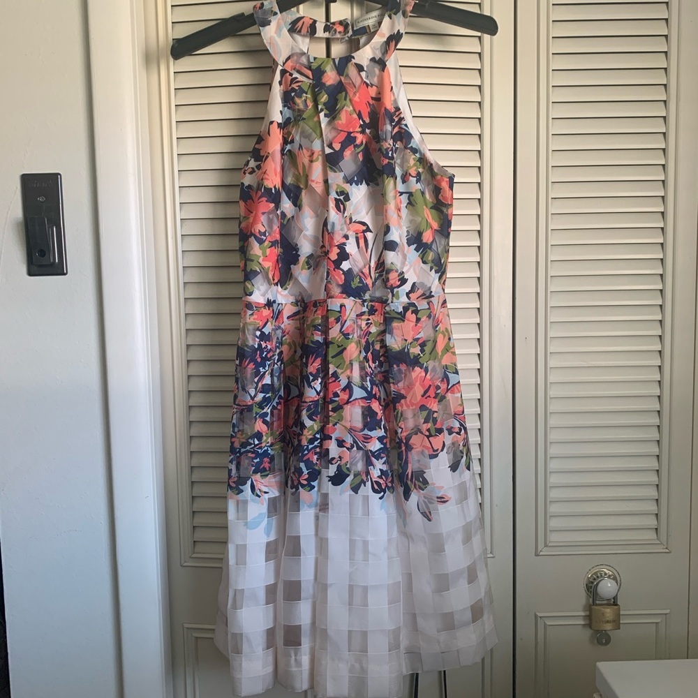 Katherine Kelly dress